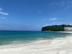 -海鮮寿司とれとれ市場