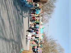 -石家庄市植物园