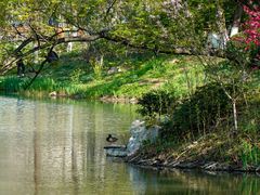 -玄武湖景区-情侣园游乐场