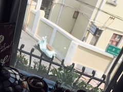 -不舍昼夜咖啡馆