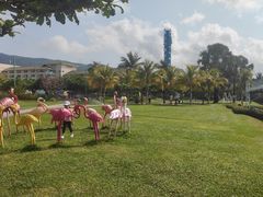 -三亚亚龙湾天域度假酒店