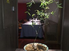-怡情荟•海鲜青岛菜(五四广场旗舰店)