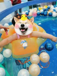 -趣童婴幼儿SPA母婴生活馆(孔雀城店)