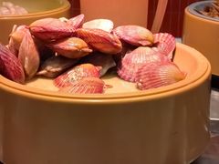 -龍歌自助小火锅(漳州二路爱购店)