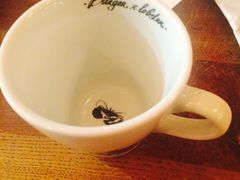 -Burger & Lobster(Dean Street)
