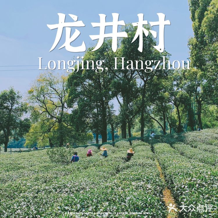 杭州小众景点｜名山名村名茶——龙井村