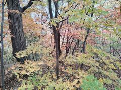 -九鼎铁刹山风景区