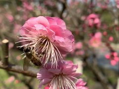 -大宁灵石公园西门票处