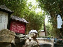 -森波拉火山温泉