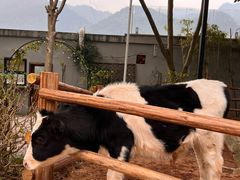 -海兰云天度假区温泉