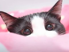 -长发西饼(道前店)