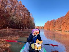 -上海海湾国家森林公园