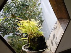 -凤凰山斑鱼馆(恭城店)