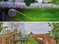 -济南野生动物世界