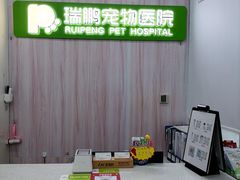 -瑞鹏宠物医院·微创内窥镜·骨外科·牙科(翠竹分院)