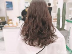 -潘多拉Hairsalon