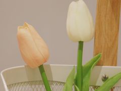 -Woolee韩食堂·韩式家庭料理