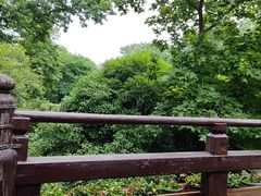 -龙井壹号·茶缘山景宴(龙井村店)