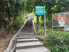 -火炉山森林公园