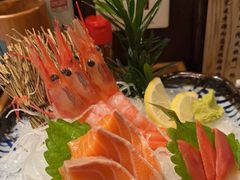 -鸟善居酒屋·烧鸟专门店·深夜食堂