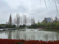 -黄兴公园