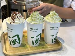 -一树一叶·福建茶档(石鼓路店)