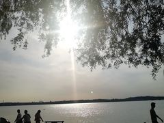 -丁香湖公园