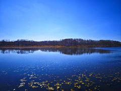 -塞罕坝国家级自然保护区