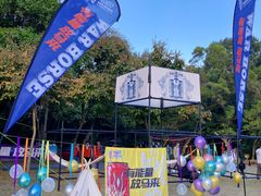 -南宁良凤江国家森林公园