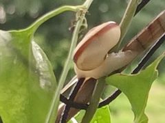 -沈阳奥林匹克体育中心