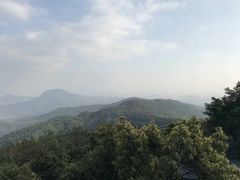 -东莞市大岭山森林公园