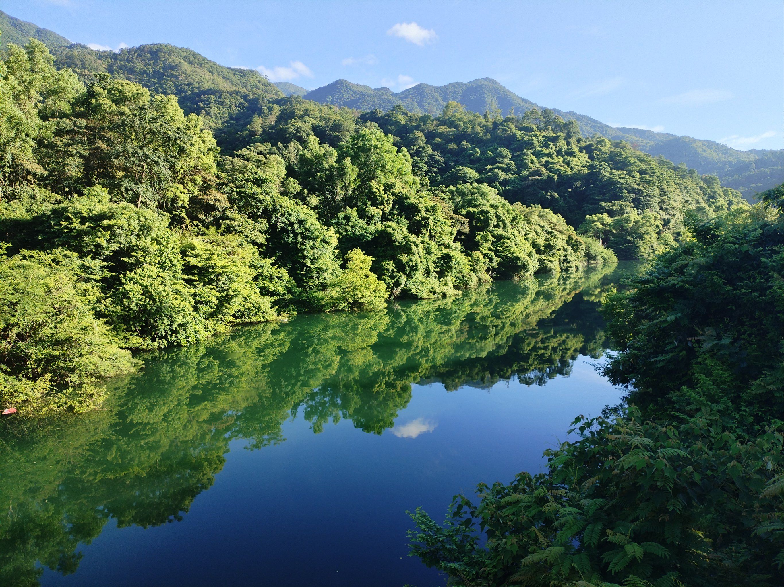 集拼图记生活 #我拍到的治愈系风景 山好水好空气好,漫步在清晨的七