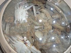 -仙螺岛海鲜自助餐厅(总店)