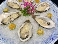 吉拉多生蚝-虾佬圣汤