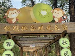 -大岭沟猕猴桃谷风景区
