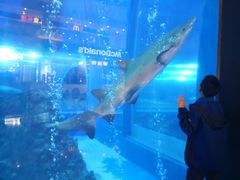 -成都浩海立方海洋公园