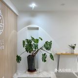 山西首家舒骨疗愈🍃—如蓝舒骨疗愈