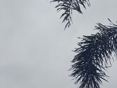 -海堤纪念公园