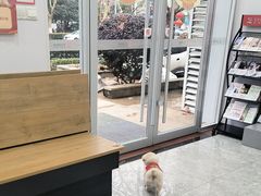 -艾贝尔宠物医院·宠保定点·超声绝育·免疫点(樱花路店)