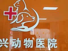 -瑞派福兴宠物医院犬猫全科·骨科·中西医结合(河东店)