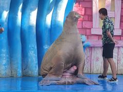 -华夏文旅海洋公园