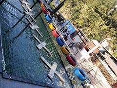 -梦幻奥陶纪景区