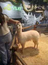 -Zoolung Zoolung动物主题公园(海信广场店)