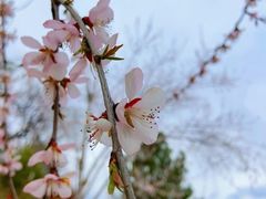 -龙潭大峡谷