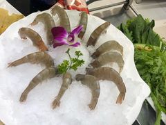 -红菇坊鲜汤火锅(北行店)