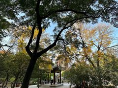 -元大都城垣遗址公园