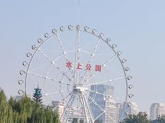 -天津水上公园