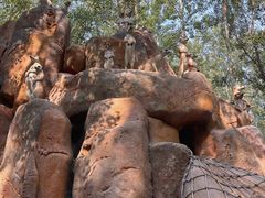 -北京野生动物园