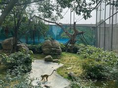 -成都动物园
