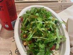 -油梨树 AVOCADO TREE(亮马桥店)
